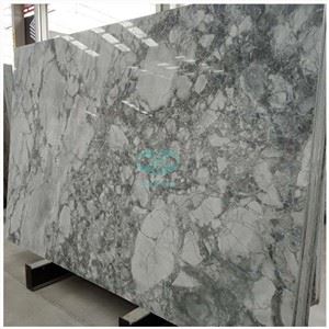 Calacatta Quartzite স্ল্যাব